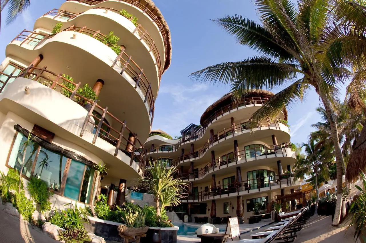 ****  El Taj Oceanfront And Beachside Condo Hotel Playa del Carmen Mexico