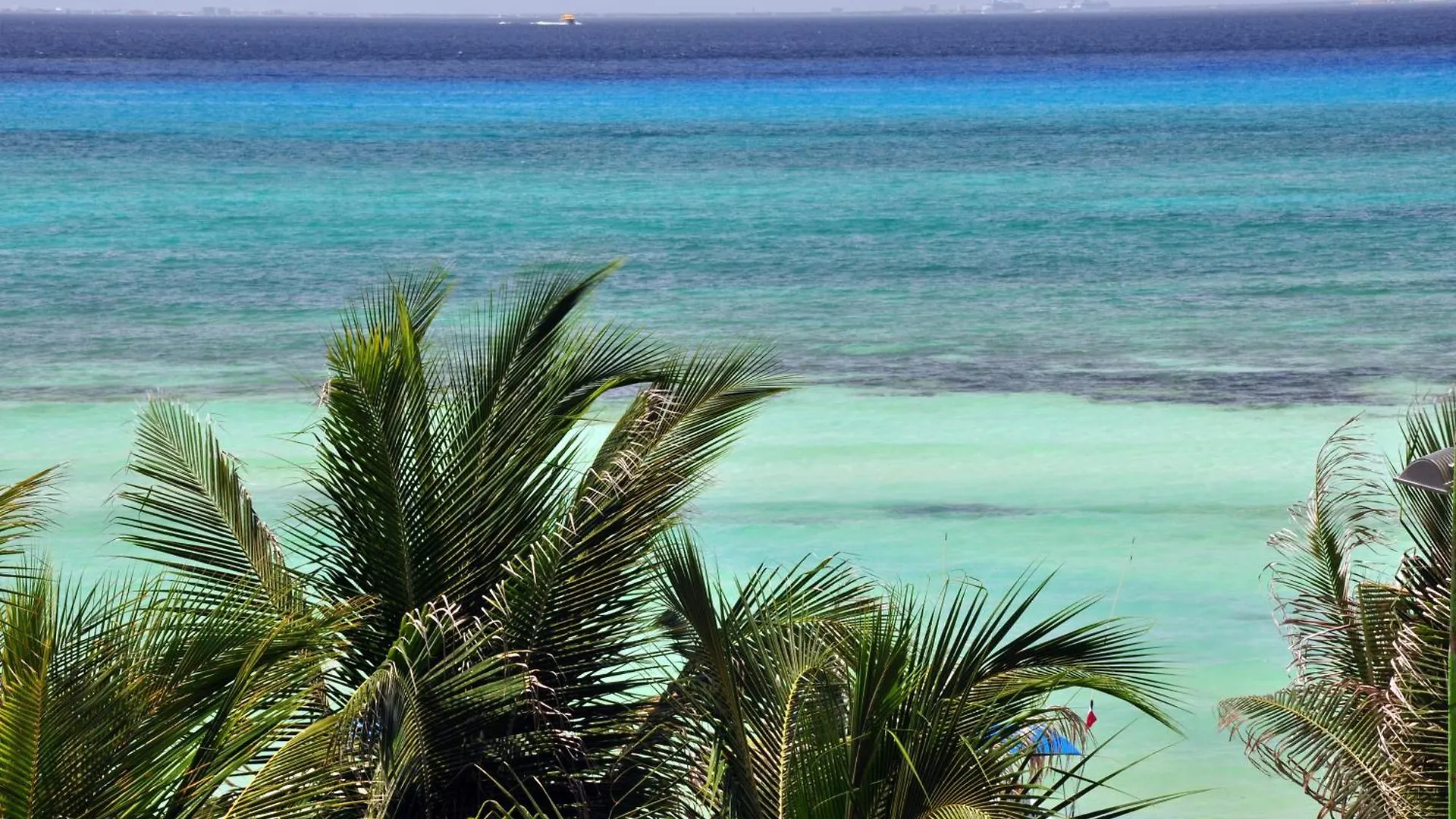 ****  El Taj Oceanfront And Beachside Condo Hotel Playa del Carmen Mexico
